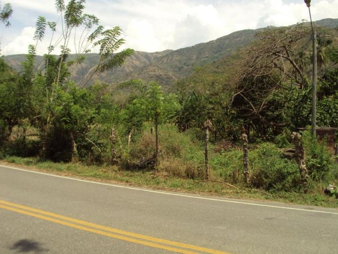 Finca en  Venta en Santafe de antioquia - Miniatura 10