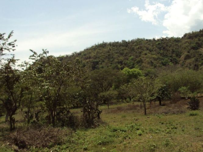Finca en  Venta en Santafe de antioquia - Miniatura 13