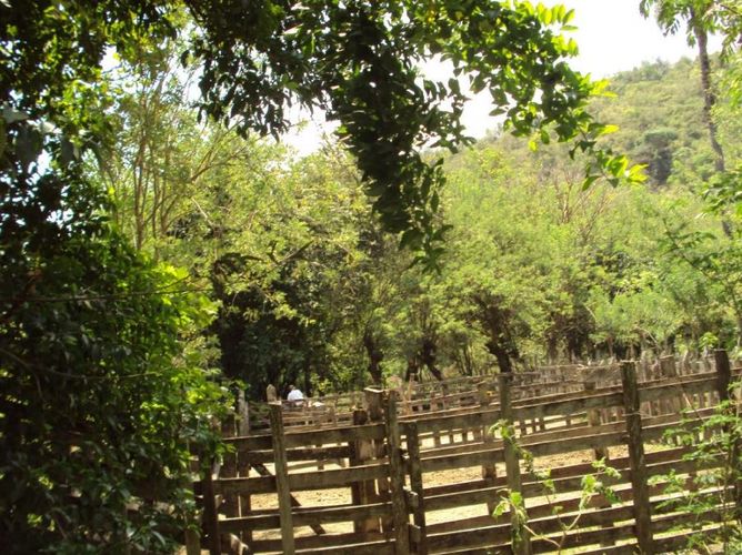 Finca en  Venta en Santafe de antioquia - Miniatura 15