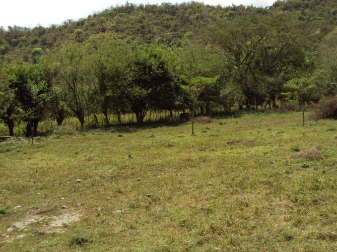 Finca en  Venta en Santafe de antioquia - Miniatura 17