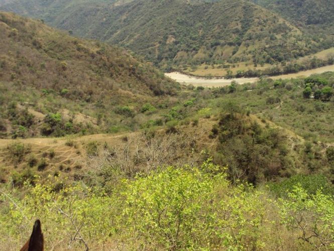 Finca en  Venta en Santafe de antioquia - Miniatura 18