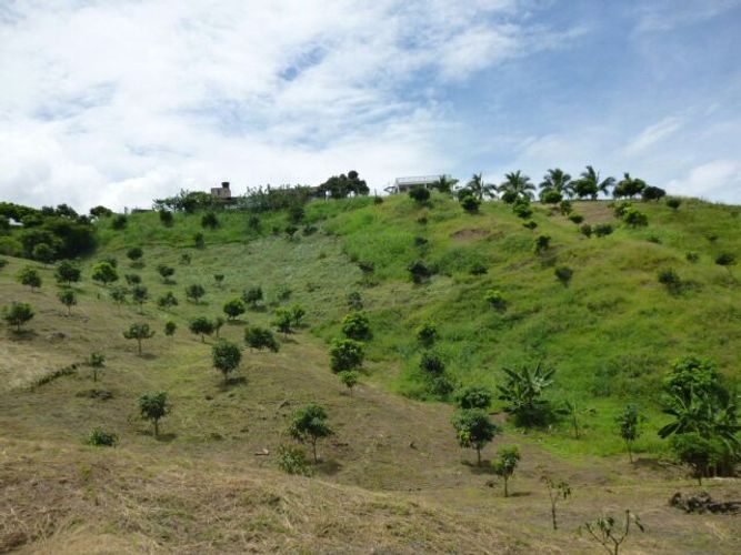 Finca en  Venta en San antonio, Anapoima - Miniatura 2