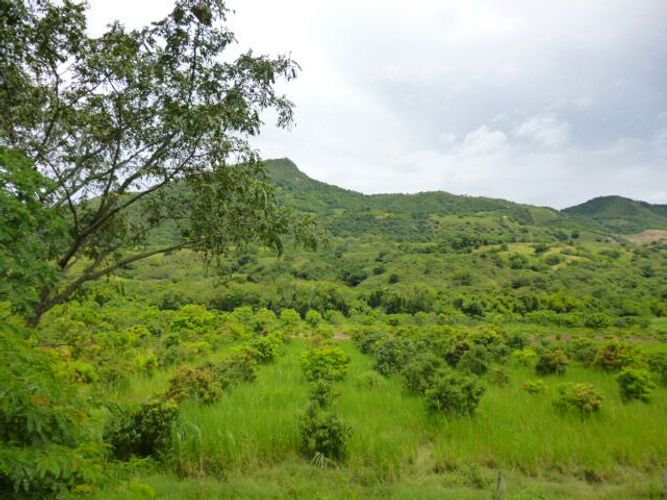 Finca en  Venta en San antonio, Anapoima - Miniatura 4