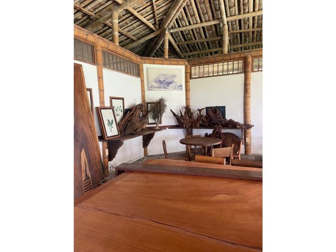 Finca en  Venta en Montenegro - Miniatura 4