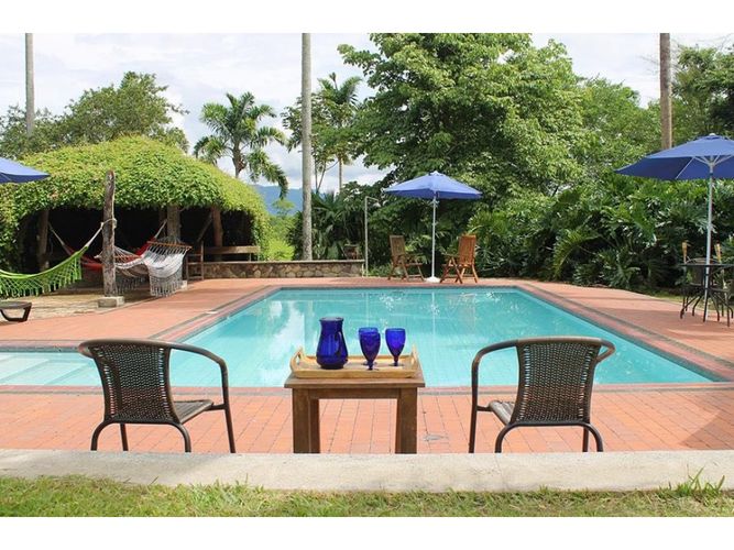 Finca en  Venta en Montenegro - Miniatura 10