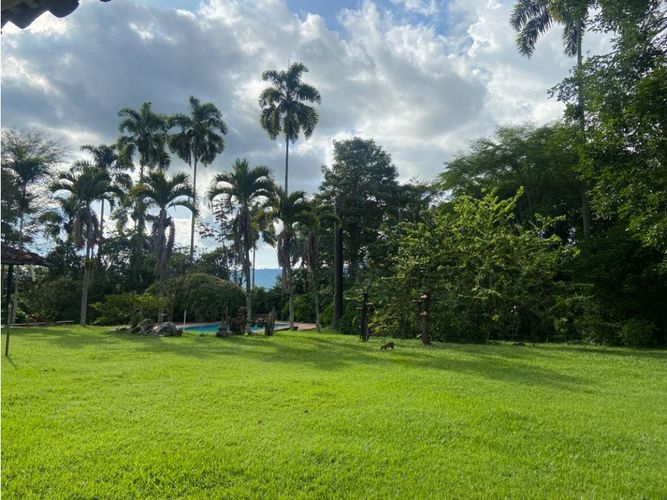 Finca en  Venta en Montenegro - Miniatura 12