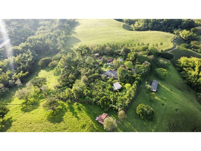 Finca en  Venta en Montenegro - Miniatura 17