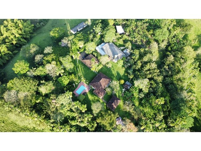 Finca en  Venta en Montenegro - Miniatura 18