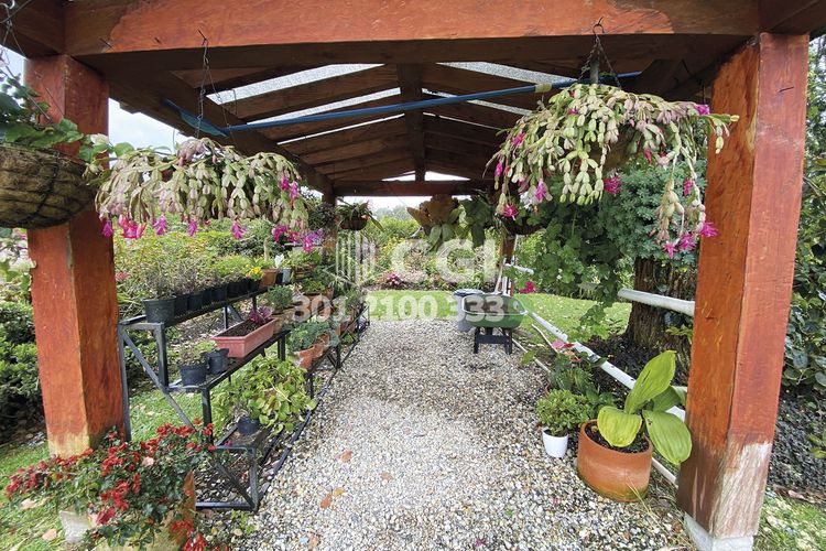 Finca en  Arriendo en Rionegro - Miniatura 30