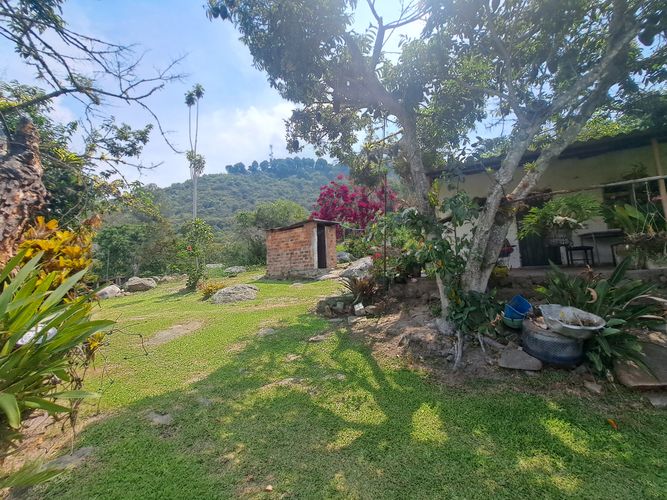 Finca en  Venta en Palacios, Fusagasugá - Miniatura 4