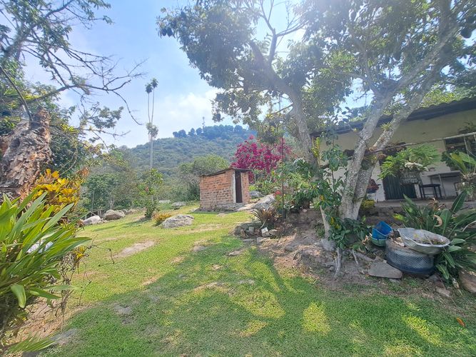 Finca en  Venta en Palacios, Fusagasugá - Miniatura 5