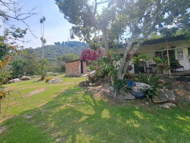 Finca en  Venta en Palacios, Fusagasugá - Miniatura 6