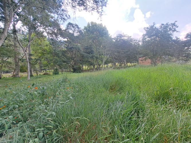 Finca en  Venta en Palacios, Fusagasugá - Miniatura 9
