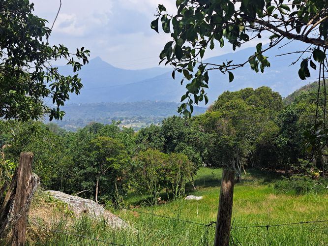 Finca en  Venta en Palacios, Fusagasugá - Imagen 1