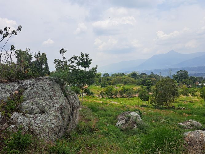 Finca en  Venta en Palacios, Fusagasugá - Miniatura 10