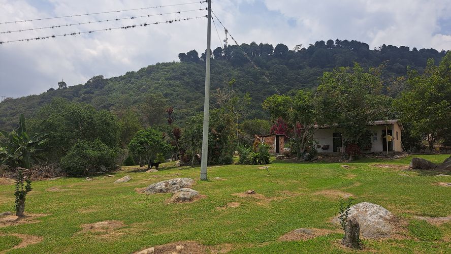 Finca en  Venta en Palacios, Fusagasugá - Miniatura 11