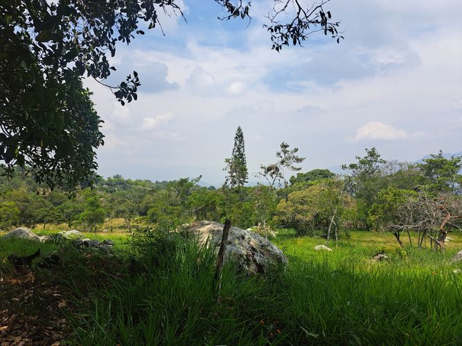Finca en  Venta en Palacios, Fusagasugá - Miniatura 12