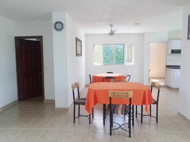 Finca en  Venta en Ricaurte - Miniatura 4