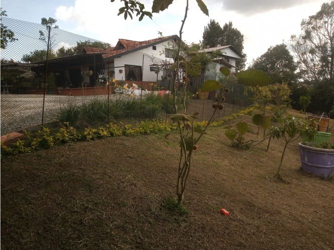 Finca en  Venta en Marinilla - Miniatura 8