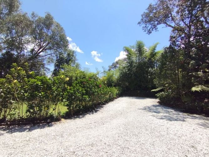 Finca en  Arriendo en Llano Grande, Rionegro - Miniatura 6