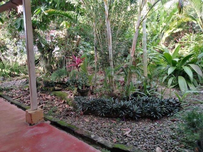 Casa en  Venta en El obrero, Garzón - Miniatura 9