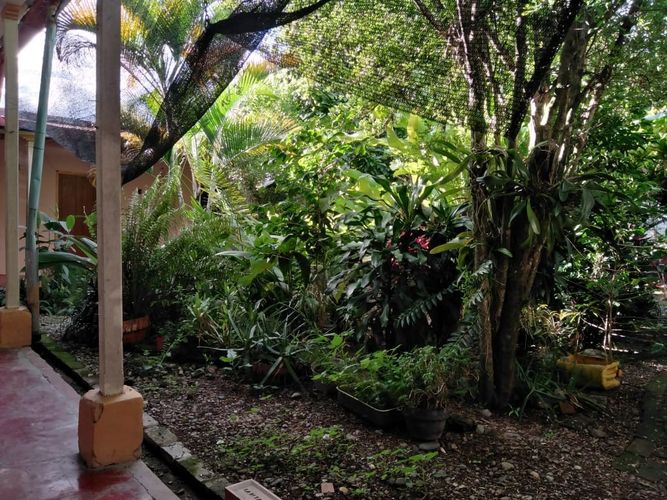 Casa en  Venta en El obrero, Garzón - Miniatura 10