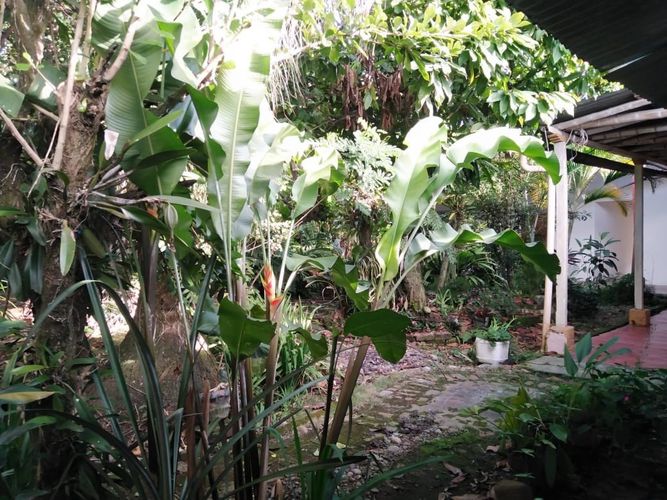Casa en  Venta en El obrero, Garzón - Miniatura 12