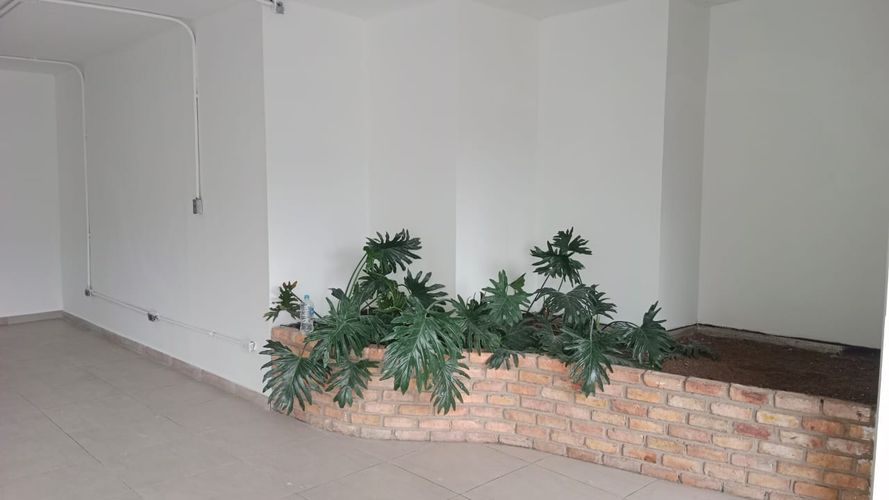 Local en  Arriendo en Chico norte, Bogotá - Miniatura 7