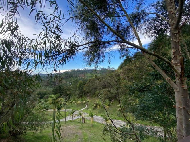 Finca en  Arriendo en El portento, El Retiro - Miniatura 20