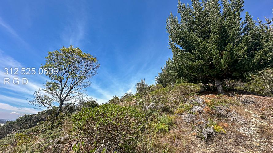 Finca en  Venta en Tenjo - Miniatura 3