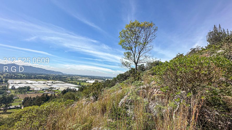 Finca en  Venta en Tenjo - Miniatura 4