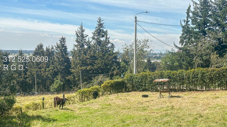 Finca en  Venta en Tenjo - Miniatura 6