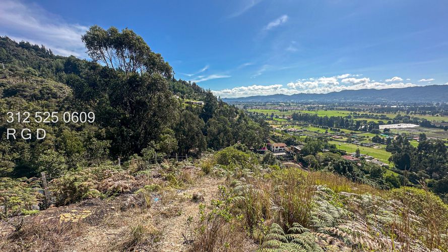 Finca en  Venta en Tenjo - Miniatura 11