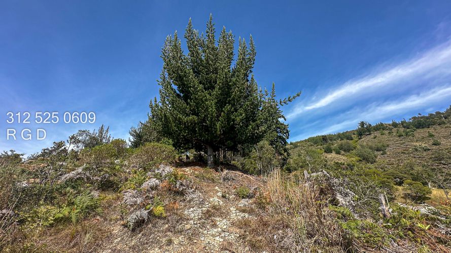 Finca en  Venta en Tenjo - Miniatura 15