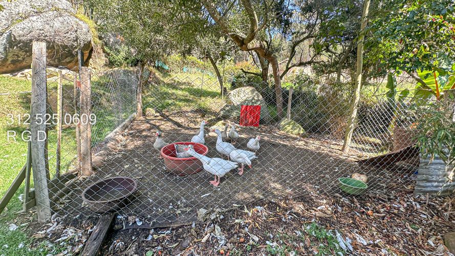 Finca en  Venta en Tenjo - Miniatura 27