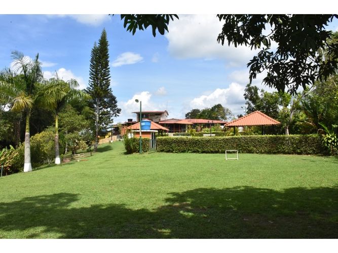 Finca en  Venta en Quimbaya - Miniatura 12