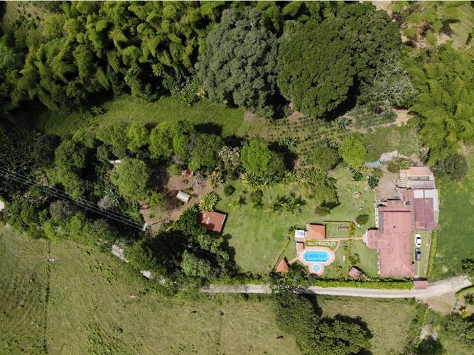 Finca en  Venta en Quimbaya - Miniatura 19
