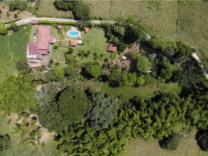 Finca en  Venta en Quimbaya - Miniatura 20
