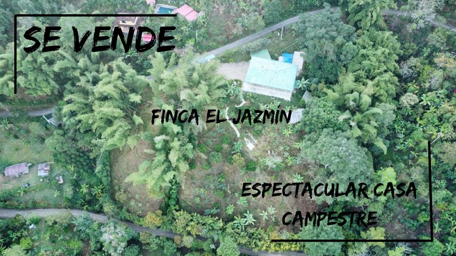 Finca en  Venta en La vega - Miniatura 5