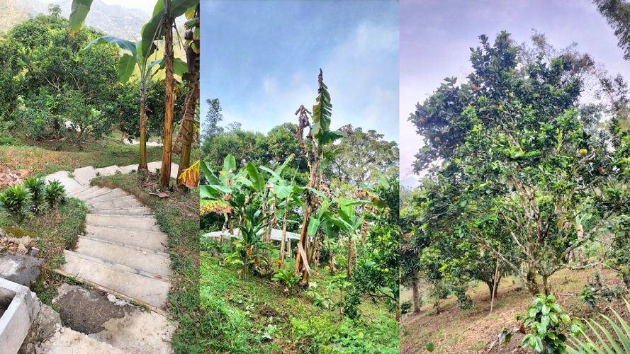 Finca en  Venta en La vega - Miniatura 14