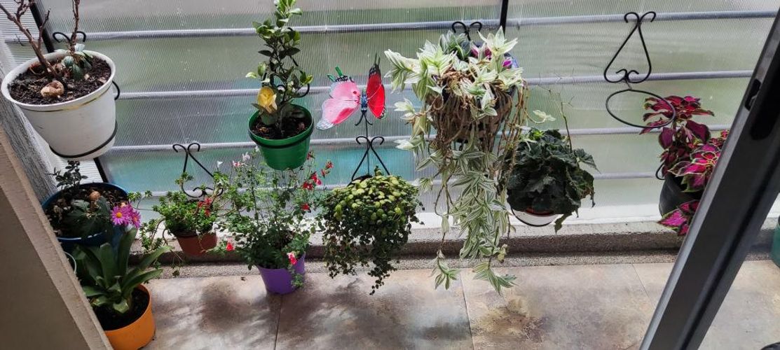 Apartamento en  Venta en Chuntame, Cajicá - Miniatura 4