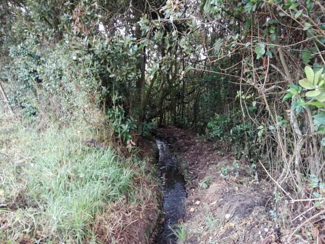 Finca en  Venta en Guandita, Guatavita - Imagen 1