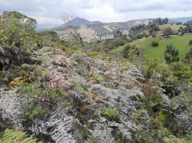 Finca en  Venta en Guandita, Guatavita - Miniatura 2