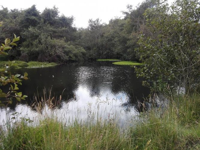 Finca en  Venta en Guandita, Guatavita - Miniatura 4