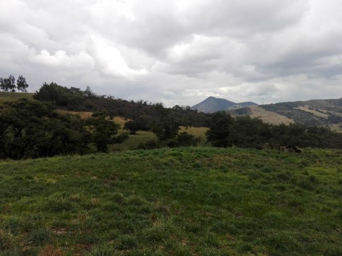 Finca en  Venta en Guandita, Guatavita - Miniatura 5