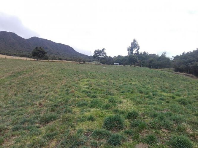 Finca en  Venta en Guandita, Guatavita - Miniatura 6