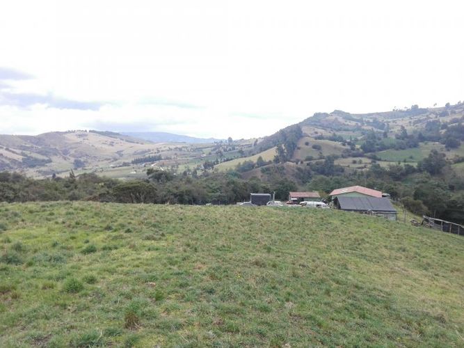Finca en  Venta en Guandita, Guatavita - Miniatura 7