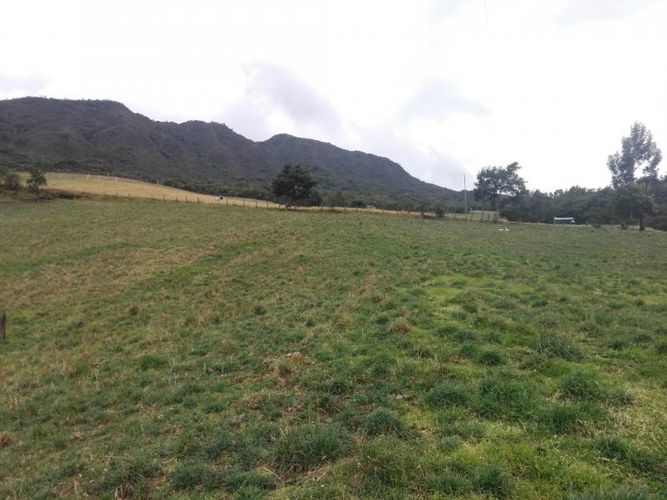 Finca en  Venta en Guandita, Guatavita - Miniatura 8