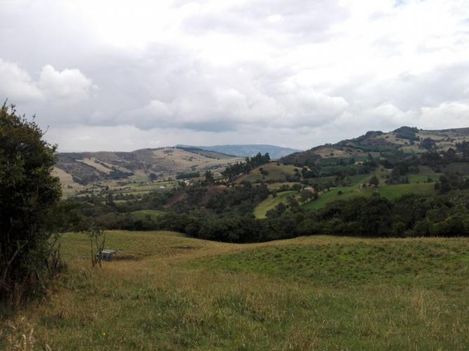 Finca en  Venta en Guandita, Guatavita - Miniatura 10