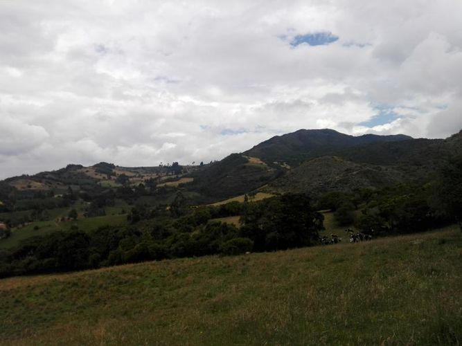 Finca en  Venta en Guandita, Guatavita - Miniatura 11